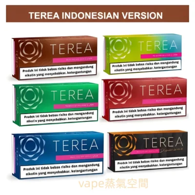 TEREA加熱煙口味款式｜BESMO E1 二回機推薦